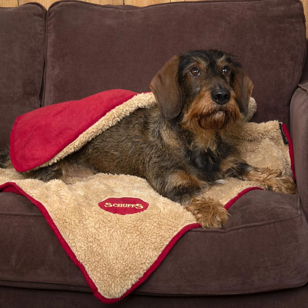 Scruffs Cosy Dog Blanket - Burgundy 4 Scruffs Cosy Dog Blanket - Burgundy - Image 2