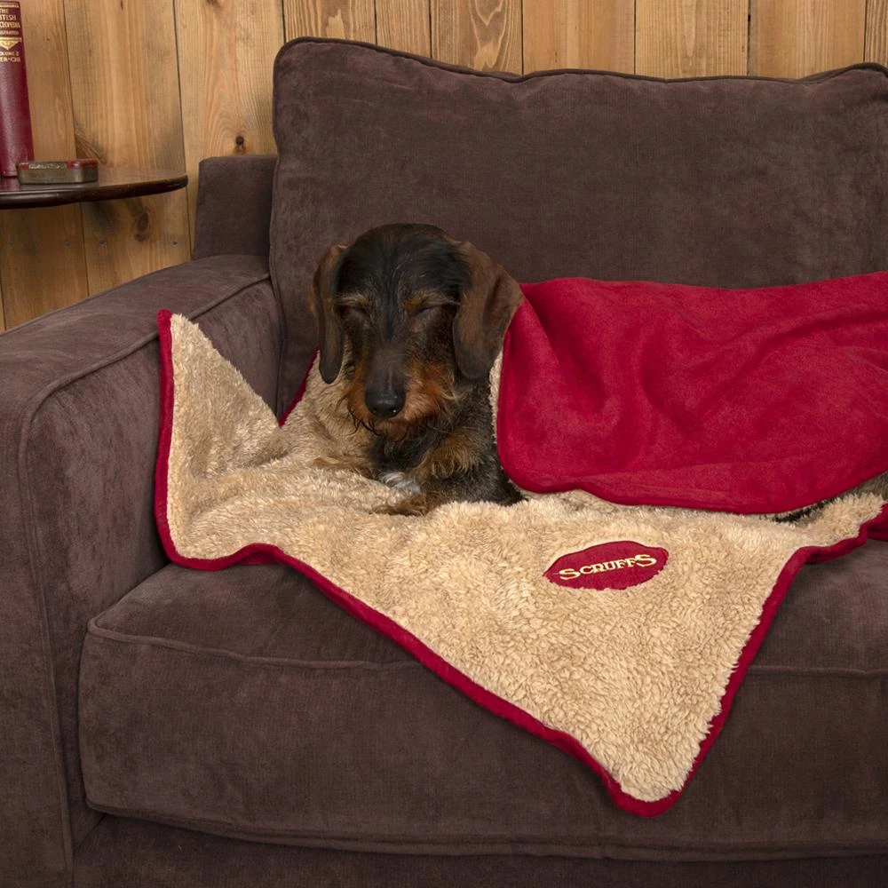Scruffs Cosy Dog Blanket - Burgundy 5 Scruffs Cosy Dog Blanket - Burgundy - Image 3