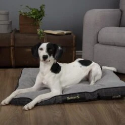 Scruffs - Windsor Dog Mattress - Charcoal -Pet dog charcoal windsor mattress 1 grande a490b827 ac88 420c 86e5 7ba44faf9768