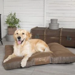 Scruffs - Windsor Dog Mattress - Chestnut -Pet dog chestnut windsor mattress 1 grande 8e27098e 24b1 46a3 81eb 48c8fbb06ac4