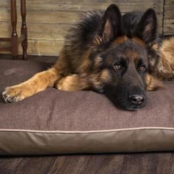 Scruffs - Hilton Memory Foam Orthopaedic Dog Mattress - Chocolate -Pet dog chocolate hilton 2 grande be2ad796 40ba 4d59 8fd3 b89e6818e377