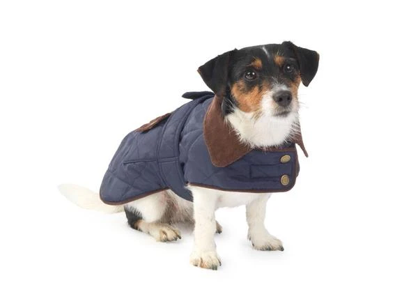 House Of Paws - Waterproof Navy Quilted Dog Jacket 3 House Of Paws - Waterproof Navy Quilted Dog Jacket