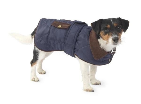 House Of Paws - Waterproof Navy Quilted Dog Jacket 4 House Of Paws - Waterproof Navy Quilted Dog Jacket - Image 2