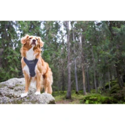 RUKKA - Comfort Air Dog Harness - Grey -Pet dog comfort air harness grey3