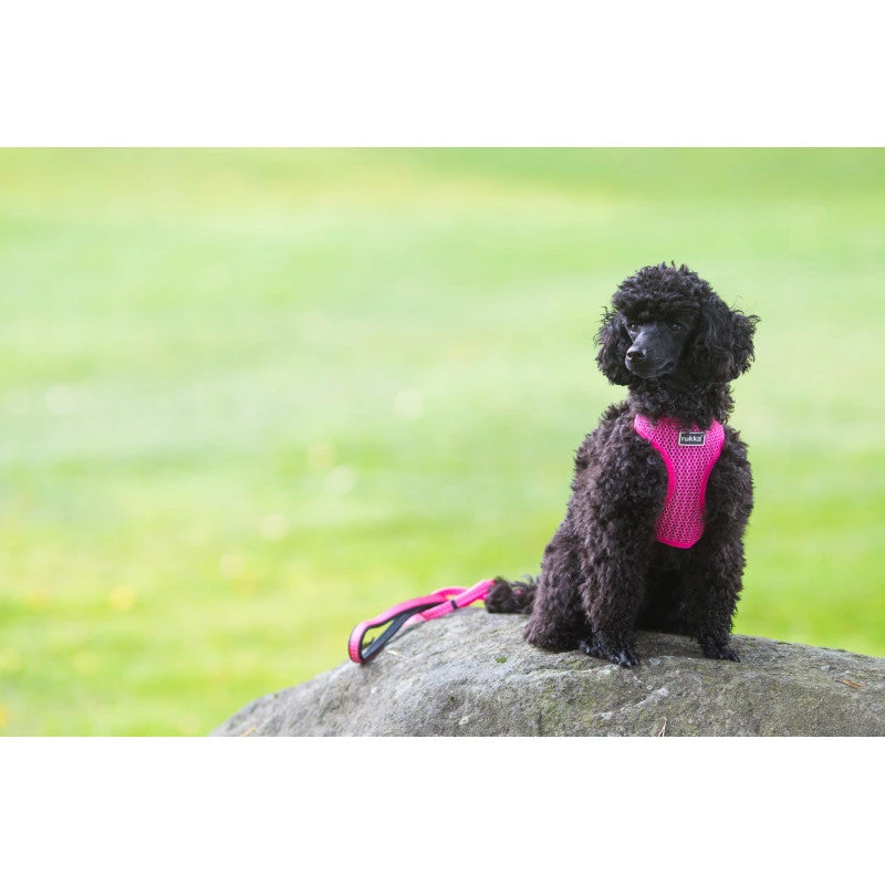 RUKKA - Comfort Air Dog Harness - Pink 5 RUKKA - Comfort Air Dog Harness - Pink - Image 3