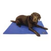 Danish Design - Dog Cooling Mat -Pet dog cooling mattress with dog