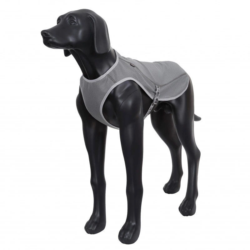 RUKKA - Dog Cooling Vest - Grey 4 RUKKA - Dog Cooling Vest - Grey - Image 2