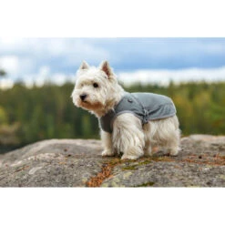 RUKKA - Dog Cooling Vest - Grey 12 RUKKA - Dog Cooling Vest - Grey -Pet dog cooling vest grey5