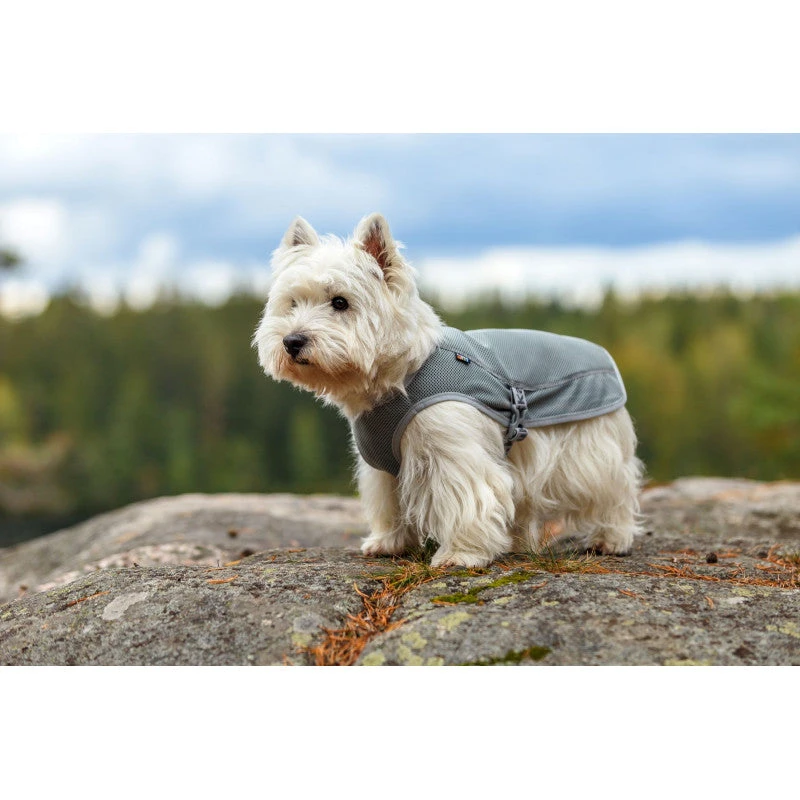 RUKKA - Dog Cooling Vest - Grey 7 RUKKA - Dog Cooling Vest - Grey - Image 5