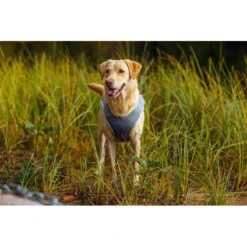 RUKKA - Dog Cooling Vest - Grey 13 RUKKA - Dog Cooling Vest - Grey -Pet dog cooling vest grey6