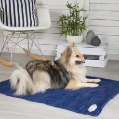 Scruffs - Dog Cooling Mat - Blue -Pet dog coolmat2 grande f53d01c6 7692 4956 93f0 99fce5a15d3e