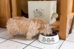 House Of Paws - Country Kitchen Dog Bowl -Pet dog cream tin and bowl 1