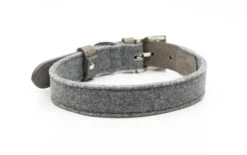 Ralph & Co - Fabric & Leather Collar - Dalton -Pet dog dalton f l collar back web2 700x de9f2b2a 6bc7 4f61 9ac5 7ff82a3c53f5