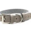 Ralph & Co - Fabric & Leather Collar - Dalton -Pet dog dalton f l collar front2 web2 700x dbcabb3b edab 47f9 ba39 709cb906ea96