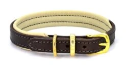 Dogs & Horses - Padded Leather Dog Collar - Brown & Cream