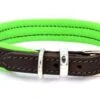 Dogs & Horses - Padded Leather Dog Collar - Brown & Green