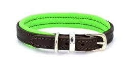 Dogs & Horses - Padded Leather Dog Collar - Brown & Green