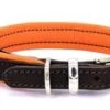 Dogs & Horses - Padded Leather Dog Collar - Brown & Orange 1 Dogs & Horses - Padded Leather Dog Collar - Brown & Orange -Pet dog dh padded collar brown orange silver 300x 70698c24 f1eb 49b2 8636 9fee3c111991