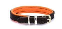 Dogs & Horses - Padded Leather Dog Collar - Brown & Orange