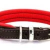 Dogs & Horses - Padded Leather Dog Collar - Brown & Red -Pet dog dh padded collar brown red silver 300x 95280d1e ba1b 4c50 9524 d6d8fe11b704