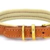 Dogs & Horses - Padded Leather Dog Collar - Tan With Brass 1 Dogs & Horses - Padded Leather Dog Collar - Tan With Brass -Pet dog dh padded collar tan cream brass