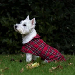Ancol Muddy Paws - Highland Tartan Red Dog Coat -Pet dog dog coat