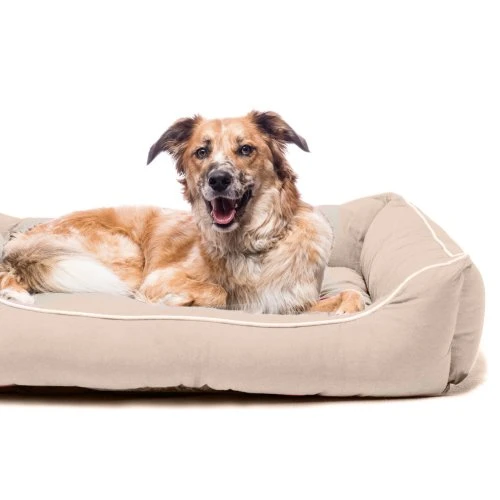Dog Gone Smart - Lounger Dog Bed - Sand 4 Dog Gone Smart - Lounger Dog Bed - Sand - Image 2