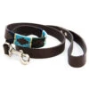 Pioneros Polo Dog Lead - Green/Pale Blue/Navy/Cream Stripe -Pet dog dog lead 856 belt missing4 1 1