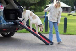 Henry Wag - Lightweight Folding Dog Ramp