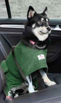 Dogrobes - Dog Robe Drying Coat - Green -Pet dog dogrobe green pomsky car harness access opening