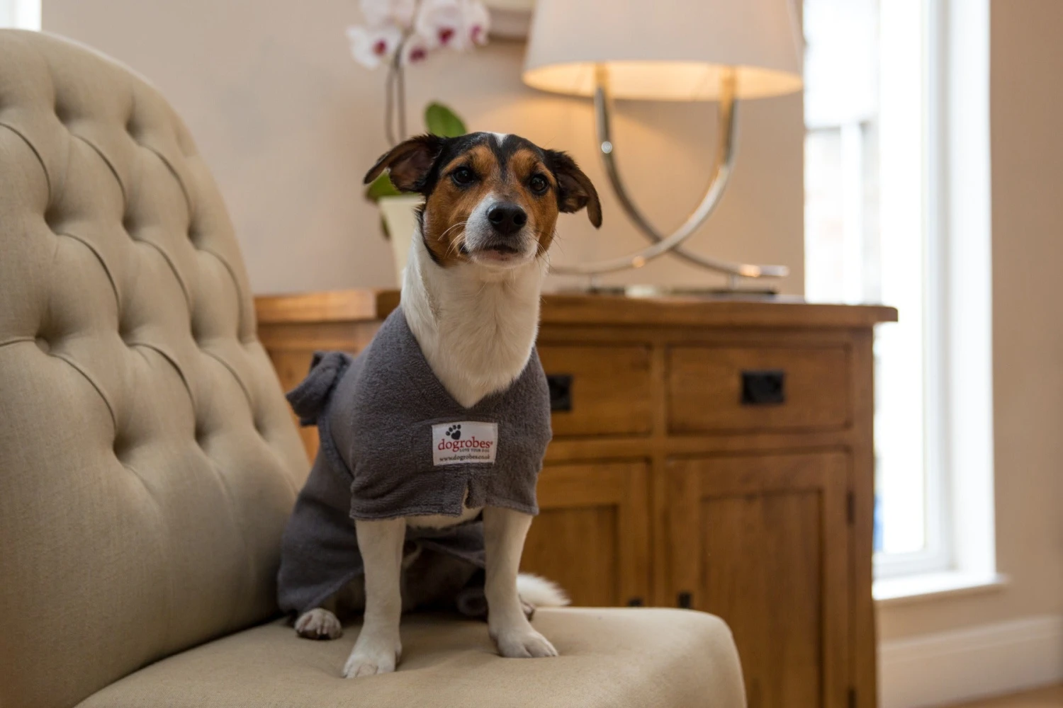 Dogrobes - Dog Robe Drying Coat - Grey 6 Dogrobes - Dog Robe Drying Coat - Grey - Image 4