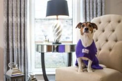 Dogrobes - Dog Robe Drying Coat - Purple -Pet dog dogrobes 8