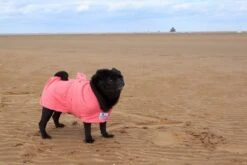 Dogrobes - Dog Robe Drying Coat - Pink -Pet dog dogrobes 20