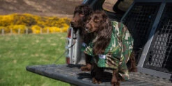 Dogrobes - Dog Robe Drying Coat - Exclusive - Camouflage -Pet dog dogrobes camo shoot ibi 2018 2212