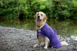 Dogrobes - Dog Robe Drying Coat - Purple -Pet dog dogrobes george hr 59