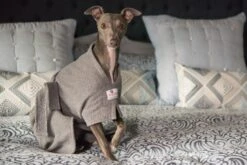 Dogrobes - Dog Robe Drying Coat - Grey 11 Dogrobes - Dog Robe Drying Coat - Grey -Pet dog dogrobes house shoot oct 17 ibi 6538