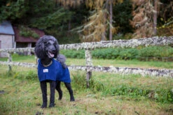 Dogrobes - Dog Robe Drying Coat - Navy -Pet dog dogrobesautumnshootshr 68