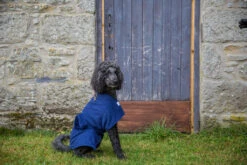 Dogrobes - Dog Robe Drying Coat - Navy -Pet dog dogrobesautumnshootshr 69