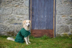 Dogrobes - Dog Robe Drying Coat - Green -Pet dog dogrobesautumnshootshr 70