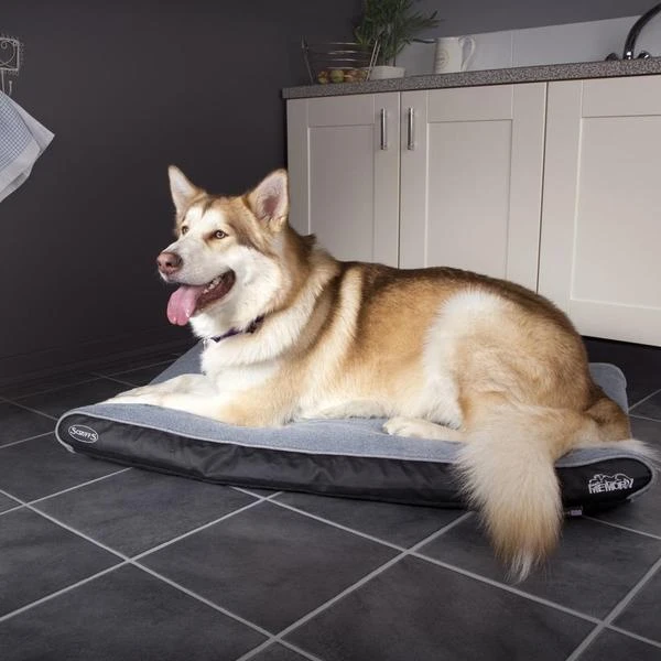 Scruffs - Chateau Memory Foam Orthopaedic Dog Mattress - Dove 4 Scruffs - Chateau Memory Foam Orthopaedic Dog Mattress - Dove - Image 2