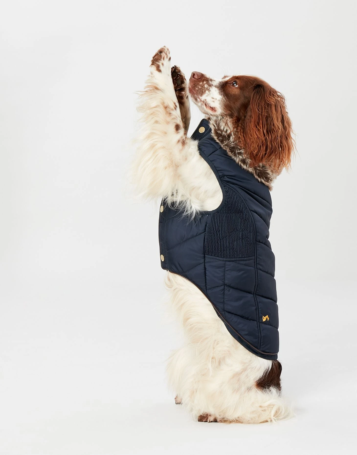 Joules Cherington Quilted Pet Coat 3 Joules Cherington Quilted Pet Coat