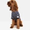 Joules Harbour Dog Jumper 1 Joules Harbour Dog Jumper -Pet dog download 2 4