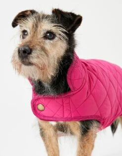 Joules - Raspberry Quilted Dog Coat -Pet dog download 3 c3d6d505 ceab 43c7 8b05 edde7a12eaee