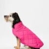 Joules - Raspberry Quilted Dog Coat -Pet dog download 4 000ffe1a 2be0 41a8 90b6 c83991f78b96