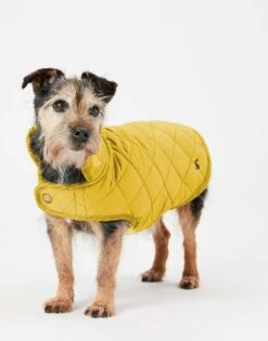 Joules Antique Gold Quilted Dog Coat 7 Joules Antique Gold Quilted Dog Coat -Pet dog download 6