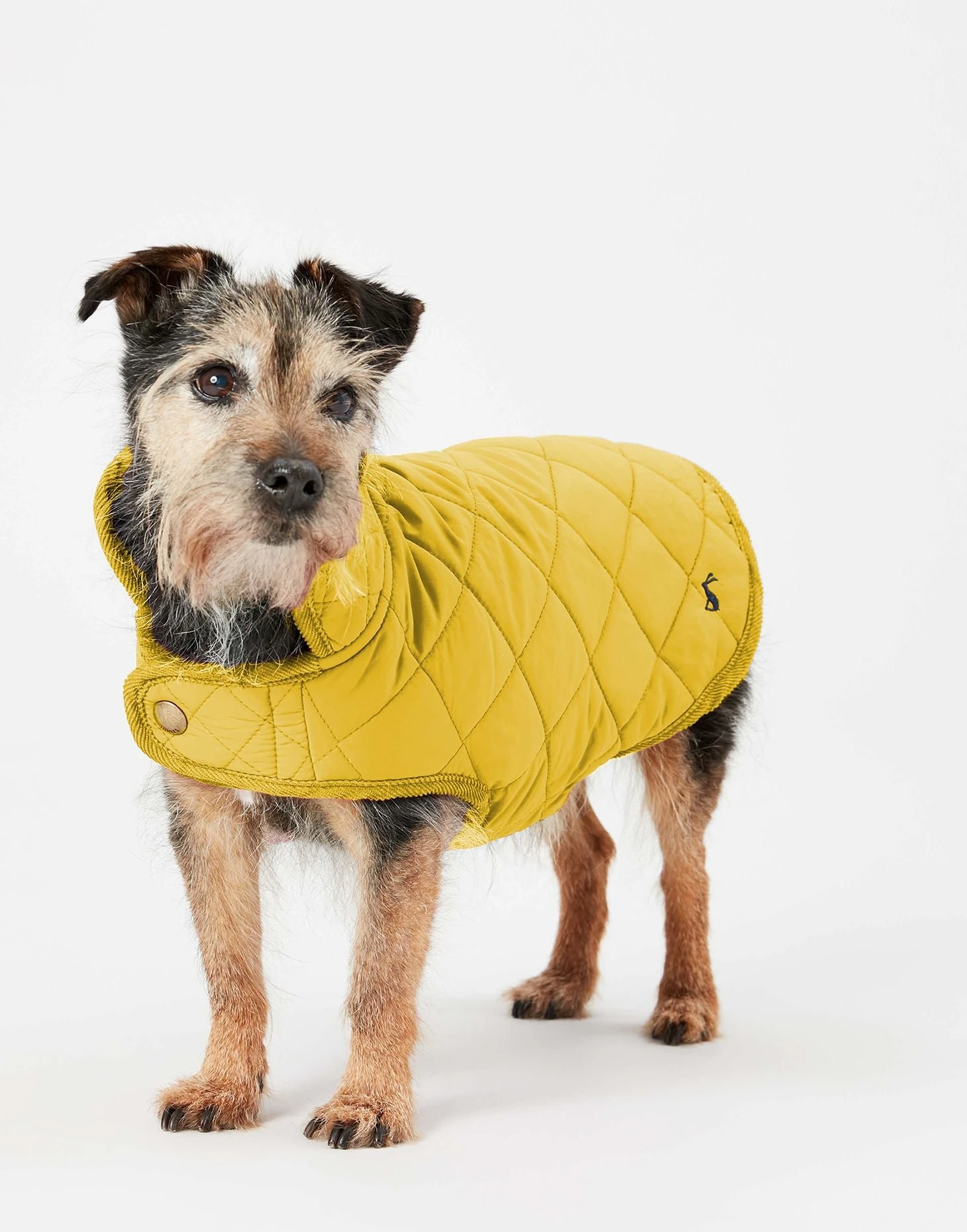 Joules Antique Gold Quilted Dog Coat 5 Joules Antique Gold Quilted Dog Coat - Image 3