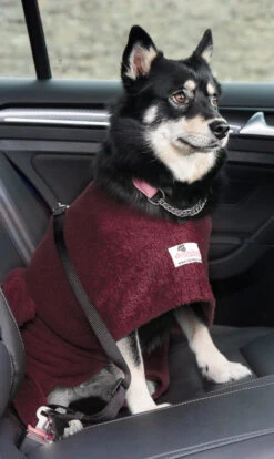 Dogrobes - Dog Robe Drying Coat - Burgundy 10 Dogrobes - Dog Robe Drying Coat - Burgundy -Pet dog drshopify1024 107
