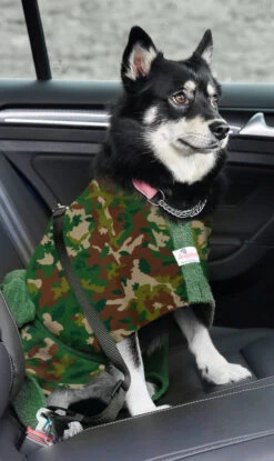 Dogrobes - Dog Robe Drying Coat - Exclusive - Camouflage -Pet dog drshopify1024 156
