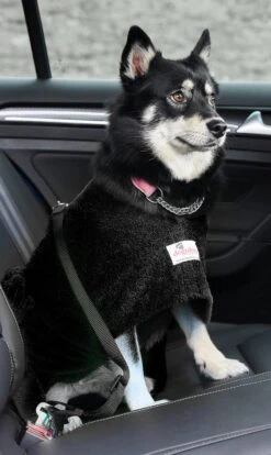 Dogrobes - Dog Robe Drying Coat - Black -Pet dog drshopify1024 229