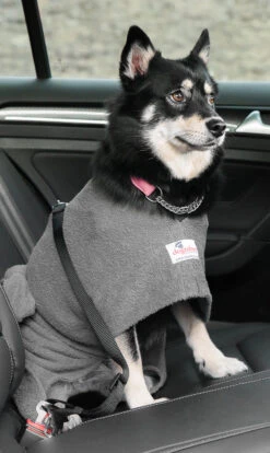 Dogrobes - Dog Robe Drying Coat - Grey 13 Dogrobes - Dog Robe Drying Coat - Grey -Pet dog drshopify1024 89